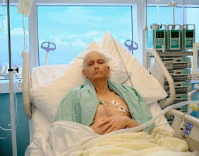 Imagen de Litvinenko (T1): Ep.1  - 2