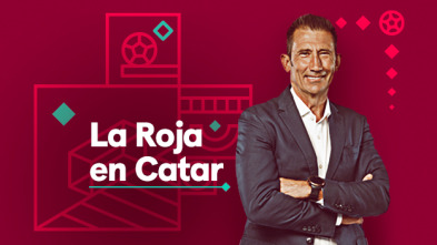 Carlos Martínez (2): La Roja en Catar