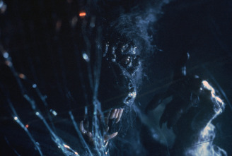 Imagen de Aullidos - 5