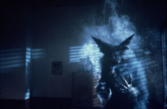 Imagen de Aullidos - 8