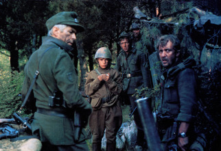 Imagen de La cruz de hierro - 16