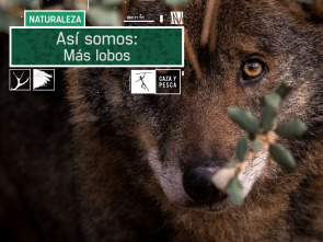 Imagen de Así somos (T1): Más lobos - 2