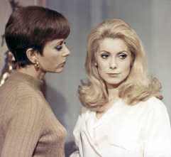 Imagen de Bella de día - 7