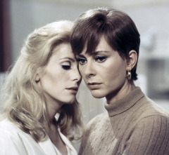 Imagen de Bella de día - 8