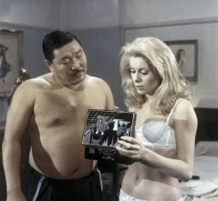 Imagen de Bella de día - 12