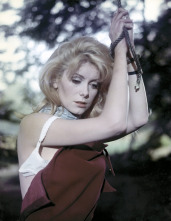 Imagen de Bella de día - 13