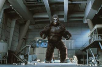 Imagen de King Kong - 4
