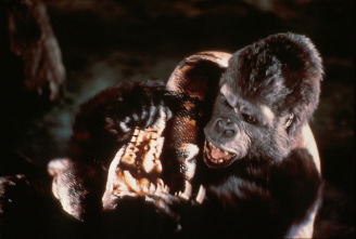Imagen de King Kong - 6