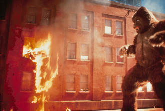 Imagen de King Kong - 7