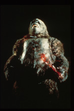 Imagen de King Kong - 16