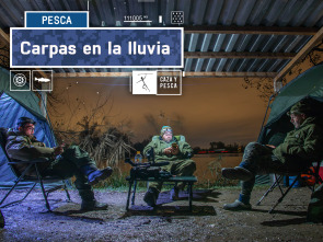 Imagen de Carpas en la lluvia - 2