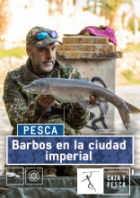 Imagen de Barbos en la ciudad imperial - 1