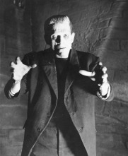 Imagen de El doctor Frankenstein - 15