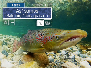 Imagen de Así somos (T1): Salmón, última parada - 2