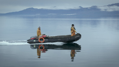 Patagonia: la vida en...: Un año salvaje