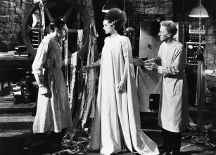 Imagen de La novia de Frankenstein - 6