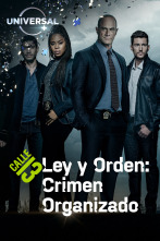 Ley y orden: Crimen organizado (T3)