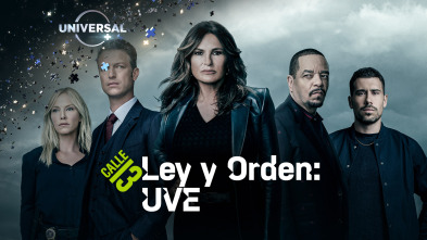 Imagen de Ley y Orden:... (T24): Ep.13 Intersección - 2