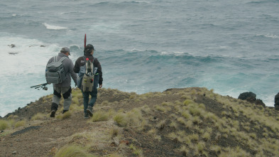 Azores. La pesca infinita