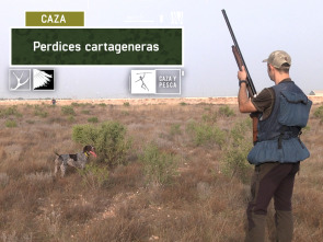 Imagen de Perdices cartageneras - 2
