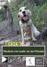 Imagen de Perdices con sudor en Las Pitiusas - 1