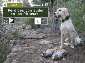 Imagen de Perdices con sudor en Las Pitiusas - 2