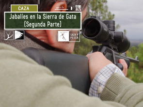 Imagen de Jabalíes en la sierra de Gata 2º parte - 2