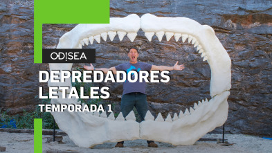 Depredadores letales: Tiburones