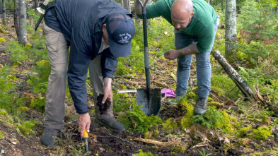 La maldición de Oak...: Muelle y cosas