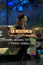 Lo + de las... (T6): Monos Titís y Ponis-Caballo - 19.01.2023
