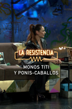 Imagen de Lo + de las... (T6): Monos Titís y Ponis-Caballo - 19.01.2023 - 1