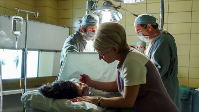 Imagen de Masters of Sex (T4): Ep.6 Solo la familia - 3