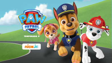 La patrulla canina single story (T9)