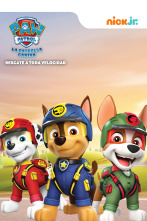 Imagen de La Patrulla Canina: Rescate a toda velocidad - 1