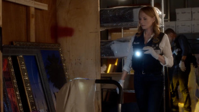 Imagen de CSI: Vegas (T2): Ep.9 En la sala blanca - 2