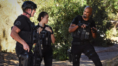 Imagen de S.W.A.T.:  Los... (T6): Ep.10 Testigo - 2