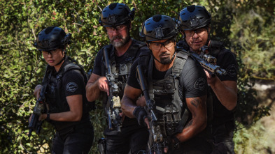 Imagen de S.W.A.T.:  Los... (T6): Ep.10 Testigo - 4