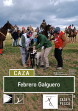 Imagen de Febrero galguero - 1