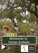 Monteando en campo Arañuelo