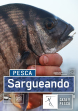 Imagen de Sargueando - 1