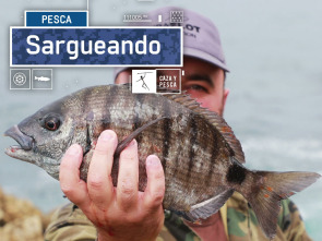 Imagen de Sargueando - 2