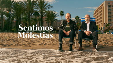 Sentimos las molestias (T2)