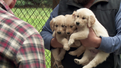 Imagen de El increíble doctor Pol: Control de Cachorros - 1