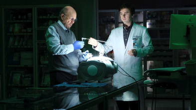 Imagen de The Good Doctor (T6): Ep.10 Ruido y silencio - 1