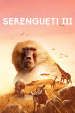 Serengueti 