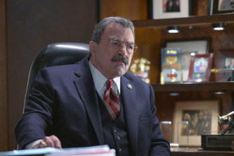 Blue Bloods... (T11): Ep.14 Un nuevo yo