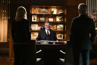 Blue Bloods... (T11): Ep.16 Justifica los medios