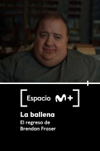 Espacio M+ (T1): La Ballena