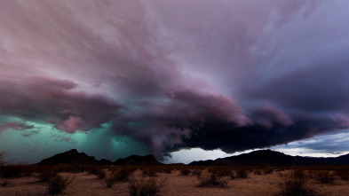 Clima extremo viral: Los ojos de la tormenta