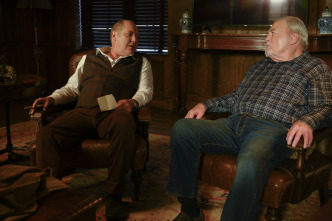 Imagen de The Blacklist (T10): Ep.4 La hiena (nº 200) - 6
